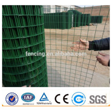 Green Beautiful Grid Recycling PVC Coated 1x1 Wire Mesh Fencing (Factory price)